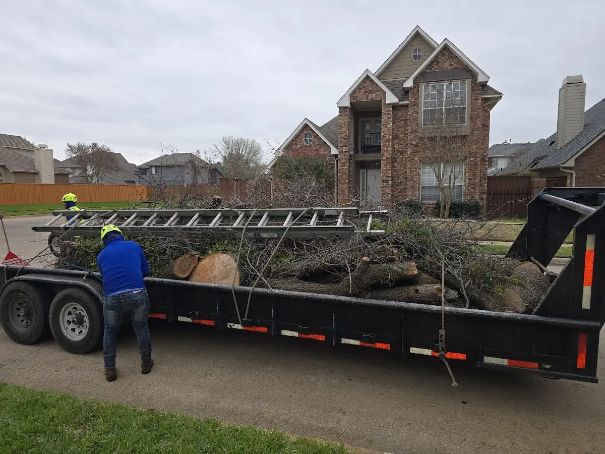 Expert Lot Clearing with proper safety equipment in Westhope